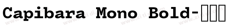 Capibara Mono Bold字体转换